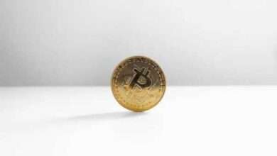 Bild von Bitcoin: Der Krypto-Absturz verschlimmert sich! Werden Altcoins das Blutbad überleben?