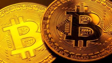 Bild von Bitcoin-Tribalismus hält Krypto-Industrie zurück, so der CEO von Ripple