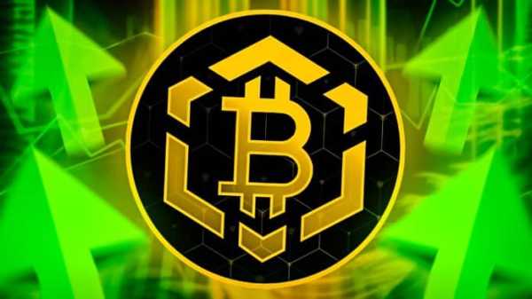 US-Regierung verkauft ihre Bitcoins – kommt jetzt der nächste Kursabsturz? Ist Bitcoin BSC die bessere Alternative?
