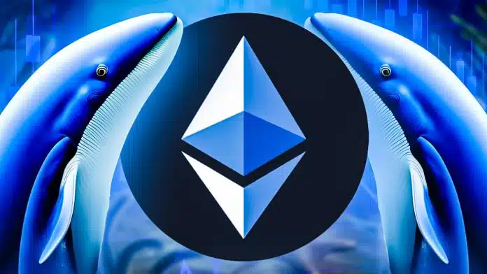 Krypto News: Ethereum – für Wale attraktiver als Bitcoin (BTC)! Top-Analyst verblüfft mit ETH Prognose, während Anleger auf Bitcoin Minetrix setzen
