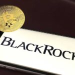 Binance im Bitcoin-Rennen überholt: Blackrock hinter Satoshi Nakamoto