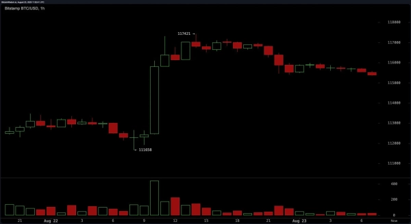 bitstamp_btc_usd-sat_23_aug_07_3