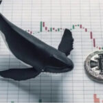 Santiment-Analysten schätzen Bitcoin-Wal-Aktien