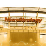 Krypto-Treasuries von Unternehmen spalten die Community