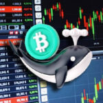 Binance-Wal-Aktivität zeigt, dass das Gleichgewicht bei steigendem BTC-Preis anhält