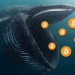 Wale verkaufen Bitcoin
