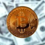 Der Leiter des Bitcoin Magazine erklärte, was er von Bitcoin erwartet