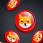 Warum steigt der Preis für Shiba Inu?
