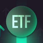Spot-Bitcoin- und Ethereum-ETFs erhalten über 503 Millionen US-Dollar