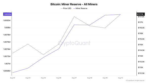 Von Minern gehaltene Bitcoin-Reserven.
