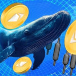 Die reichsten Krypto-Wallets bieten jetzt dasselbe – Ethereum