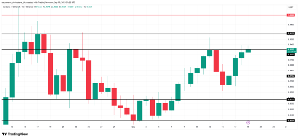 Cardano-Preisanalyse.