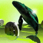 Die Sharks haben Bitcoin (BTC) über 115.000 US-Dollar getrieben. Kann es dort bleiben?