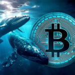 Die größten Bitcoin-Wale verkaufen 115.000 BTC für 12,7 Milliarden Dollar in einem Monat
