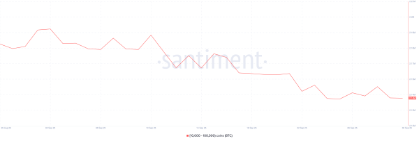 Verteilung des Bitcoin-Angebots (BTC)
