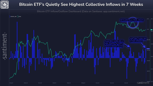 Nettokapitalzuflüsse in Bitcoin-ETFs