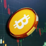 Trotz steigender Transaktionsvolumina verliert das Bitcoin-Netzwerk aktive Benutzer.