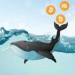 Awakened Bitcoin Whale überträgt 137 BTC im Wert von 15,6 Millionen US-Dollar