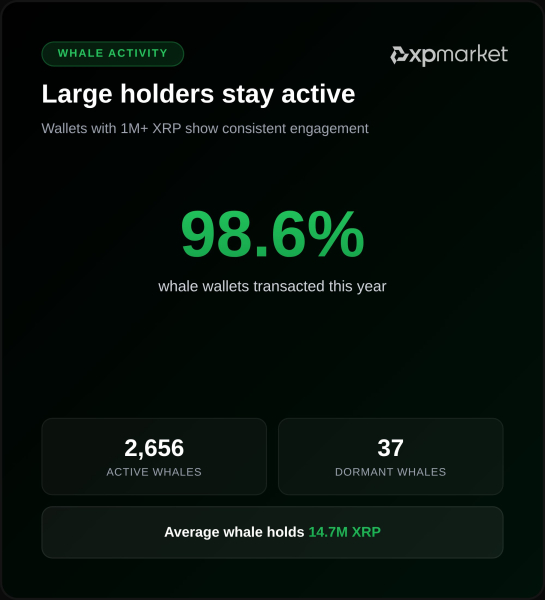 XRP Ledger Whale XPMarket Wallet-Aktivität