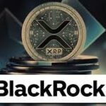 Der Stablecoin von Ripple debütiert auf einer von BlackRock unterstützten Tokenisierungsplattform.