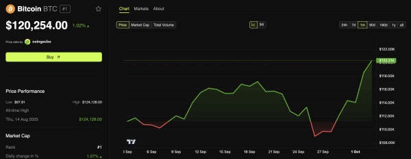 Bitcoin (BTC) Preisdynamik