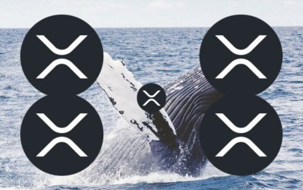 Wale und Privatanleger haben seit Anfang 2026 XRP im Wert von über&hellip;