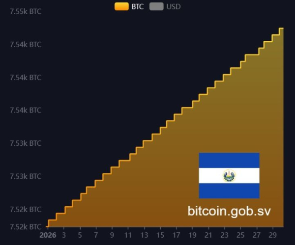 salvador-btc-guthaben-30-januar