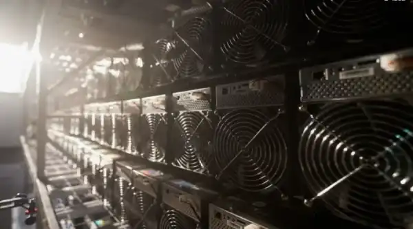 In der Region Swerdlowsk wurden die Organisatoren illegaler Bergbaubetriebe festgenommen.