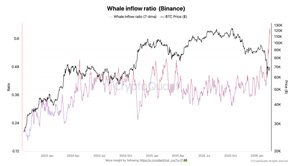 Wal-Zuflussverhältnis (Bitcoin). Quelle: CryptoQuant