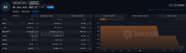 Entwicklung des Bitcoin-Wallet-Guthabens von Garrett Jean. Quelle: Arkham