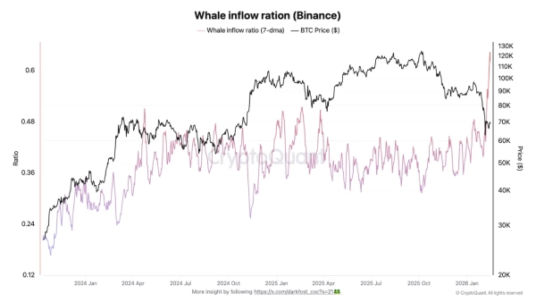 Whale_inflow_binance