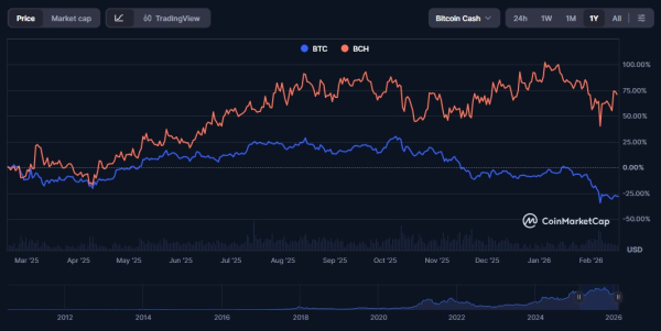 Vergleich der Dynamik von Bitcoin und Bitcoin Cash.