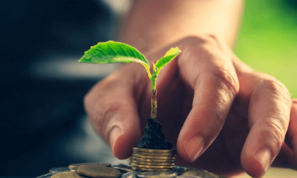 Angesichts sinkender Renditen bei traditionellen Anlagen erwägen Investmentfonds Investitionen in Kryptowährungen.