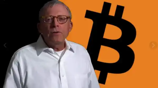 Peter Brandt machte Großinvestoren für den Niedergang von Bitcoin verantwortlich.