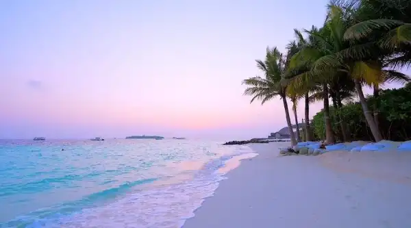 Trumps Unternehmen tokenisiert Einnahmen aus einem im Bau befindlichen Resort auf den&hellip;