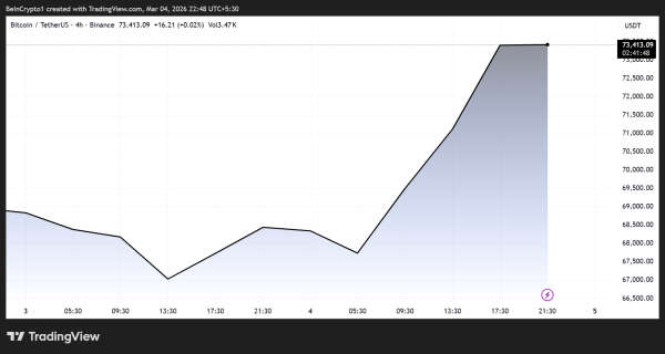 Bitcoin-Preisdynamik