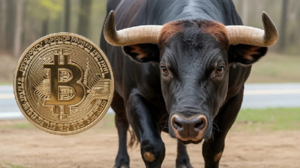 Der Bitcoin-Kurs hat sich stark erholt und nähert sich der 70.000-Dollar-Marke! Hier&hellip;
