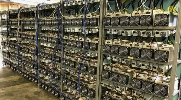 Энергетики Краснодарского края оценили ущерб от нелегального майнинга