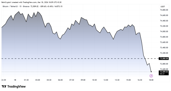 Bitcoin-Preisdynamik